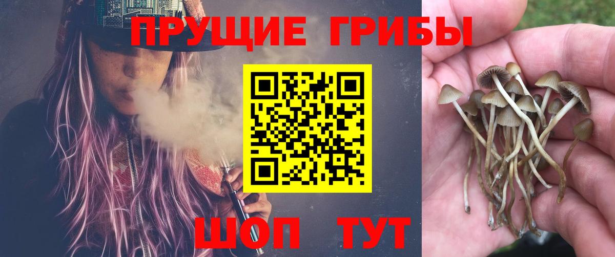 Ачинск  Псилоцибиновые грибы GOLDEN TEACHER  Вход с VPN 